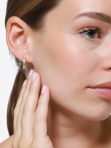 Heideman Earrings 'Annika' in Gold