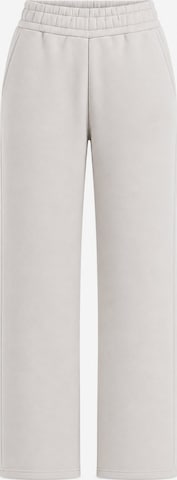 Pantalon ' Finy ' Smilodox en gris : devant