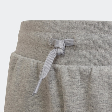 regular Pantaloni 'Adicolor' di ADIDAS ORIGINALS in grigio