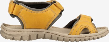 JOSEF SEIBEL Hiking Sandals in Yellow