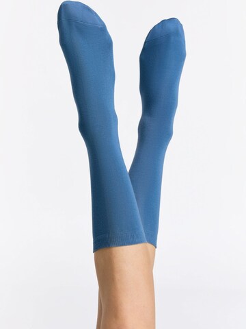 Albero Natur Socks 'Classic' in Blue