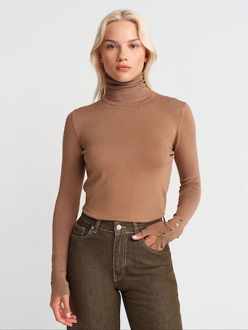 Dilvin Pullover 'Pullover'‌‌‌‌‌‌‌ in Braun: Vorderseite
