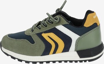 GEOX Sneakers in Groen