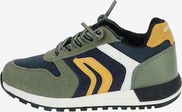 Sneaker di GEOX in verde