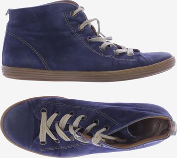 Paul Green Sneakers & Trainers in 38 in Blue: front