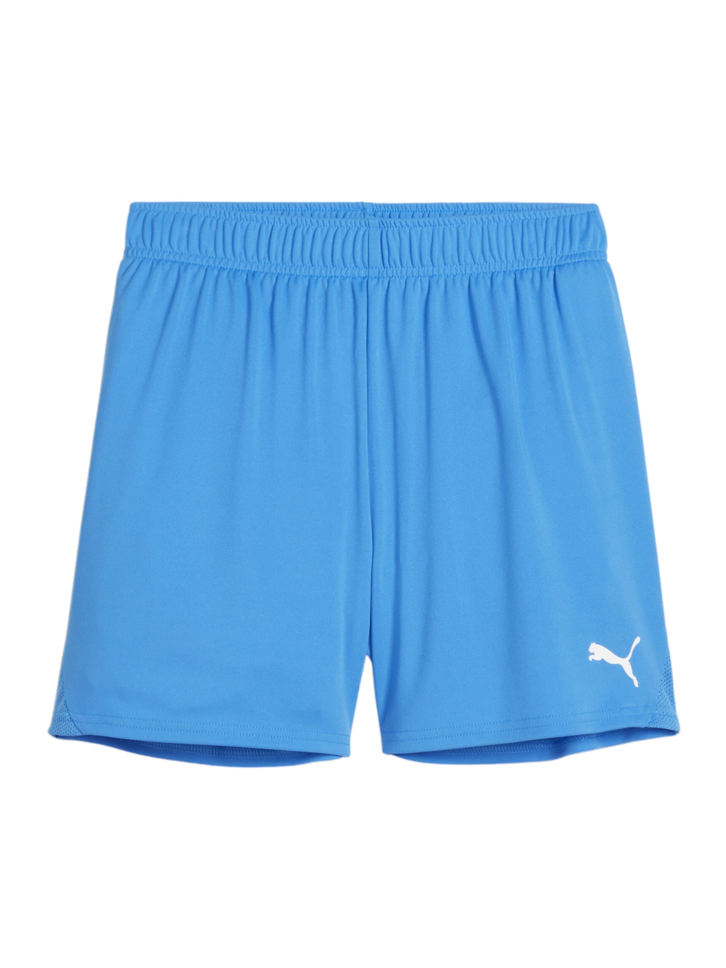 PUMA Workout Pants in Blue: front