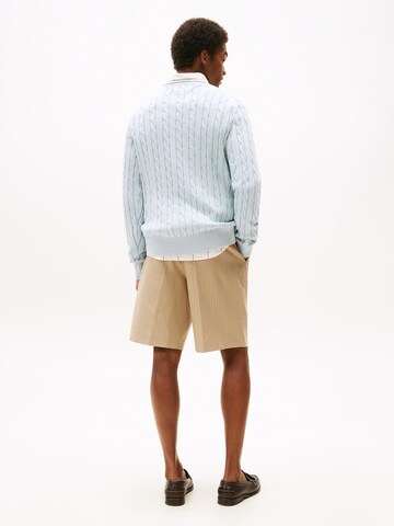 TOMMY HILFIGER Trui in Blauw