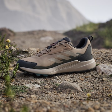 ADIDAS TERREX Χαμηλό παπούτσι 'Anylander' σε καφέ