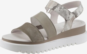 GABOR Strap Sandals in Grey: front