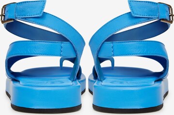 CESARE GASPARI Sandale in Blau