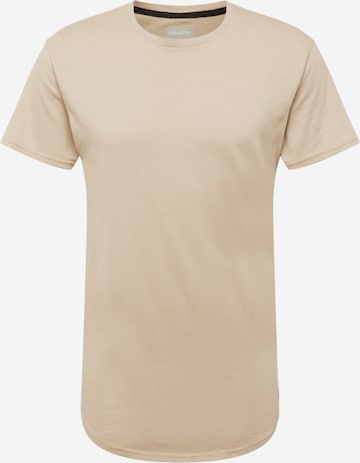 HOLLISTER Majica | rjava barva: sprednja stran