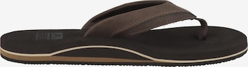 REEF Beach & Pool Shoes 'Cushion Dawn' in Brown