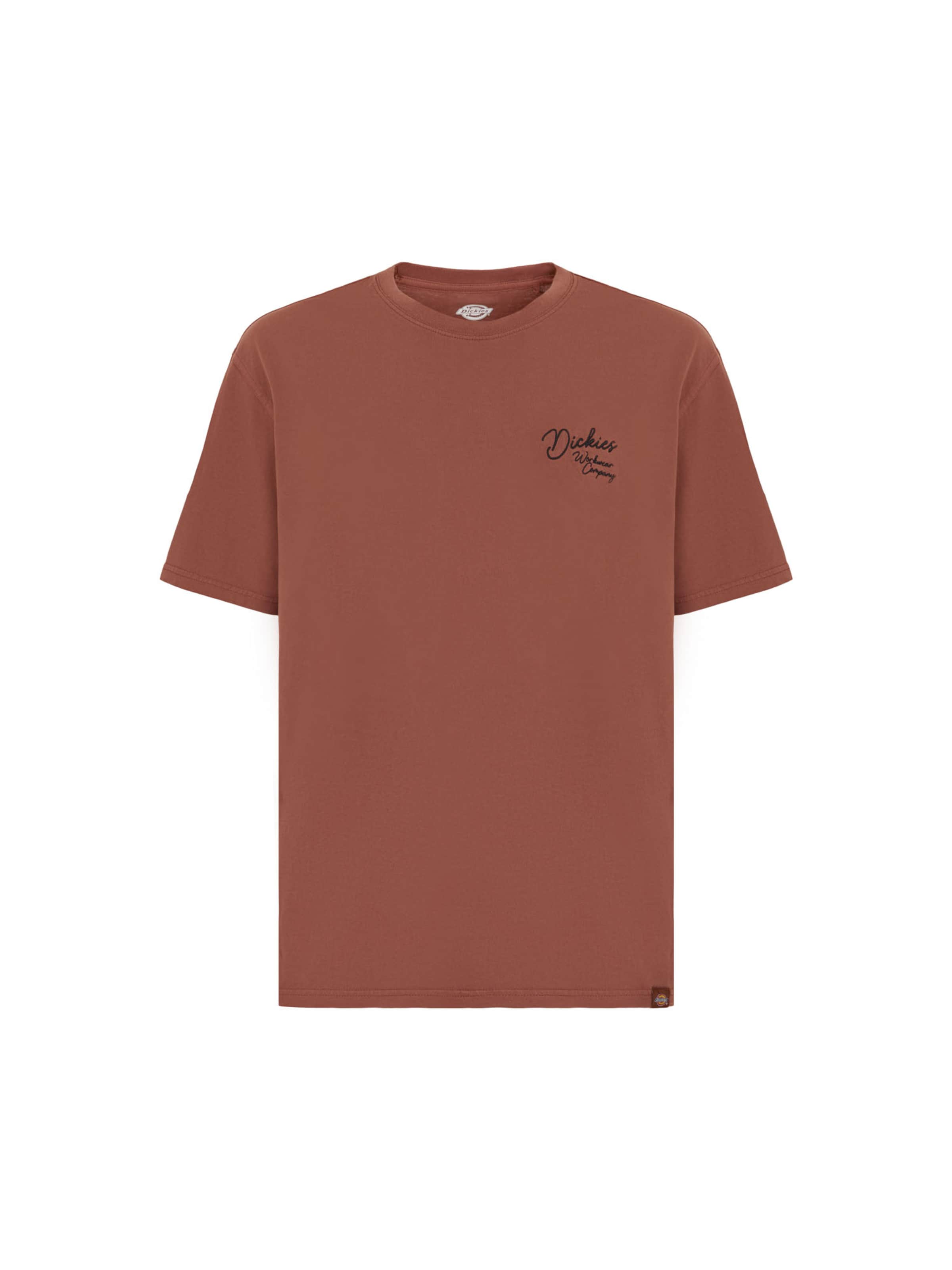 DICKIES Shirt in Brown: front