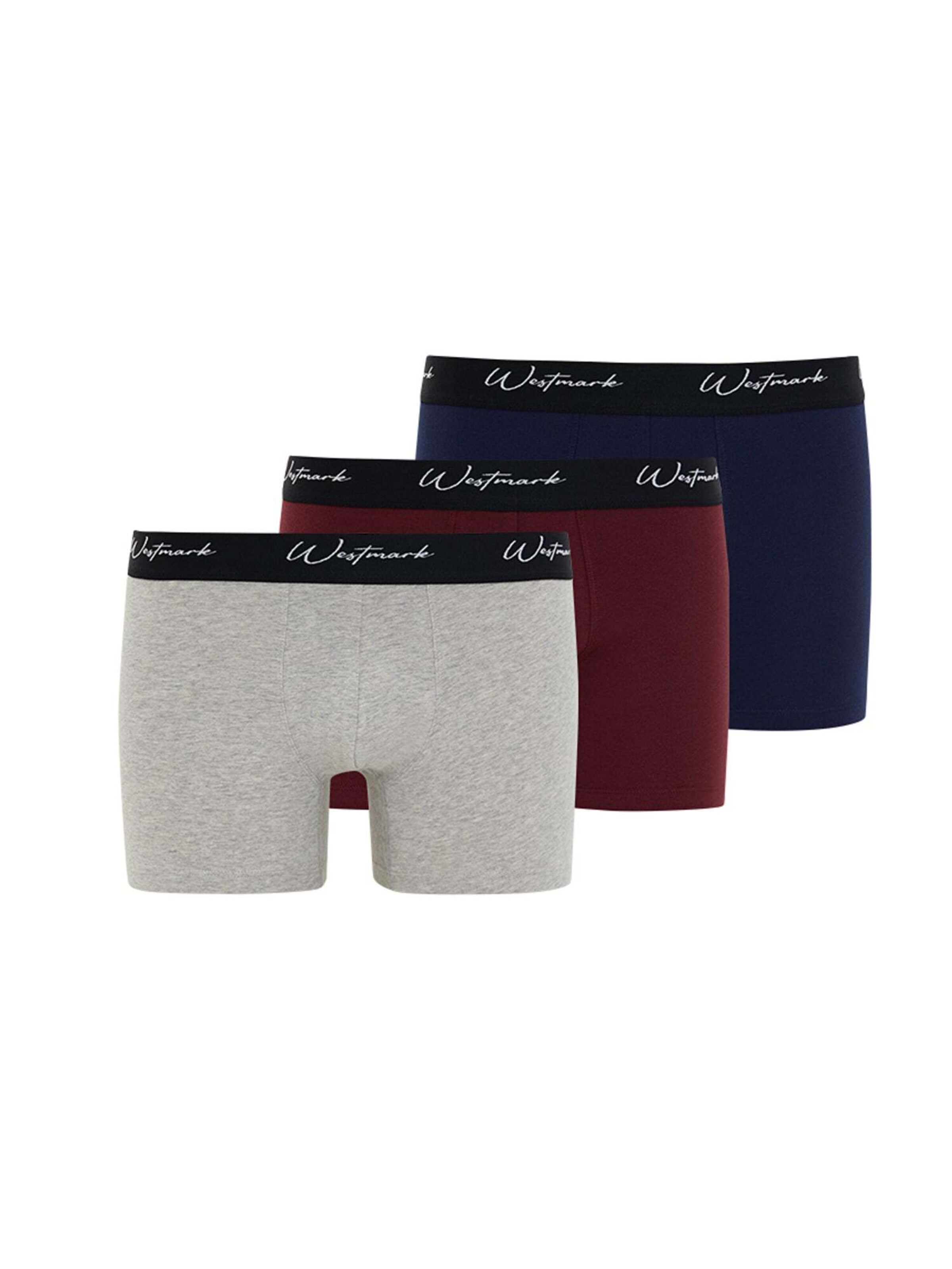 Boxer 'Lucas' di WESTMARK LONDON in blu: frontale