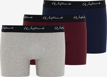 WESTMARK LONDON Boxershorts 'Lucas' in Blauw: voorkant