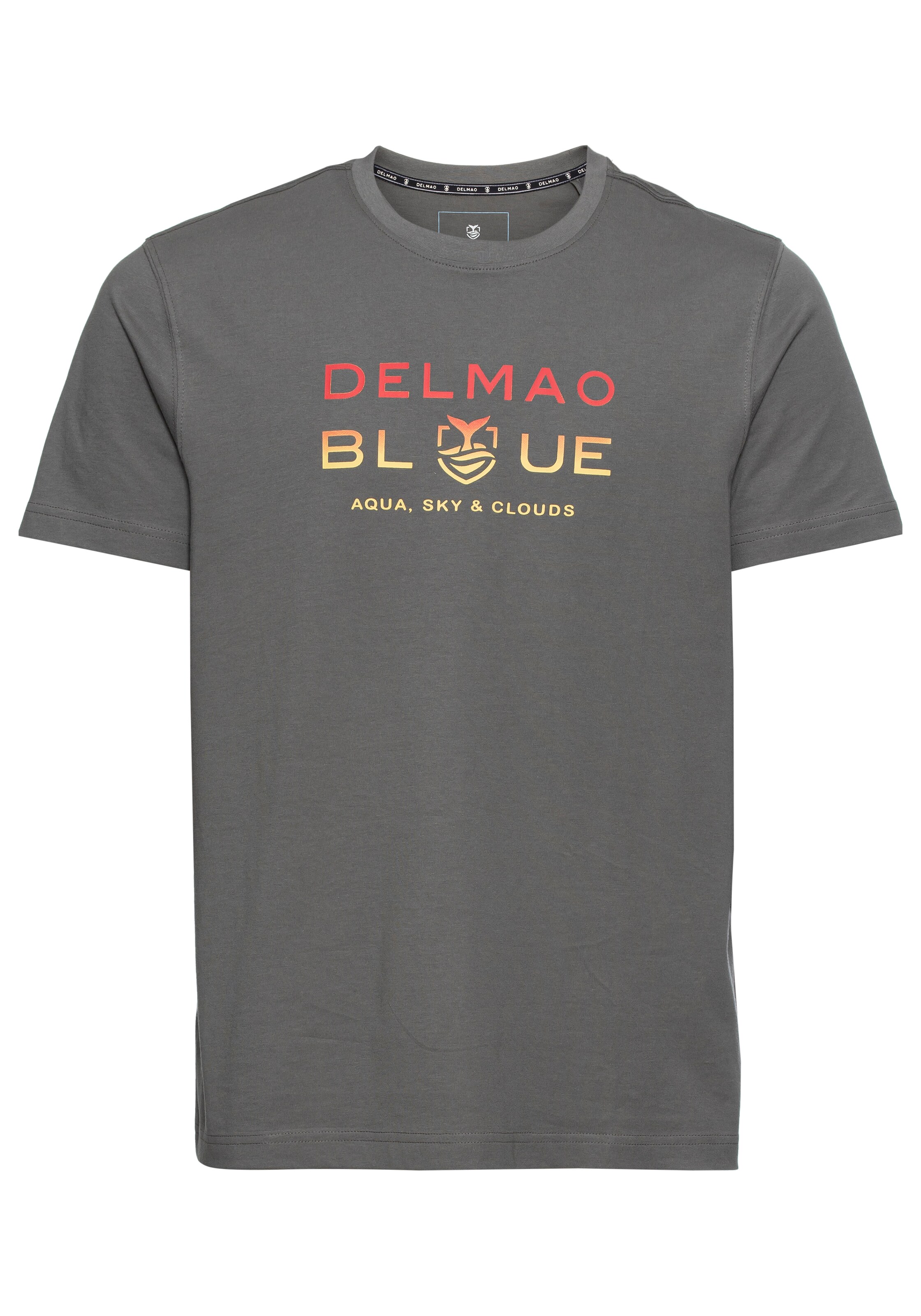 DELMAO Shirt in Grey: front