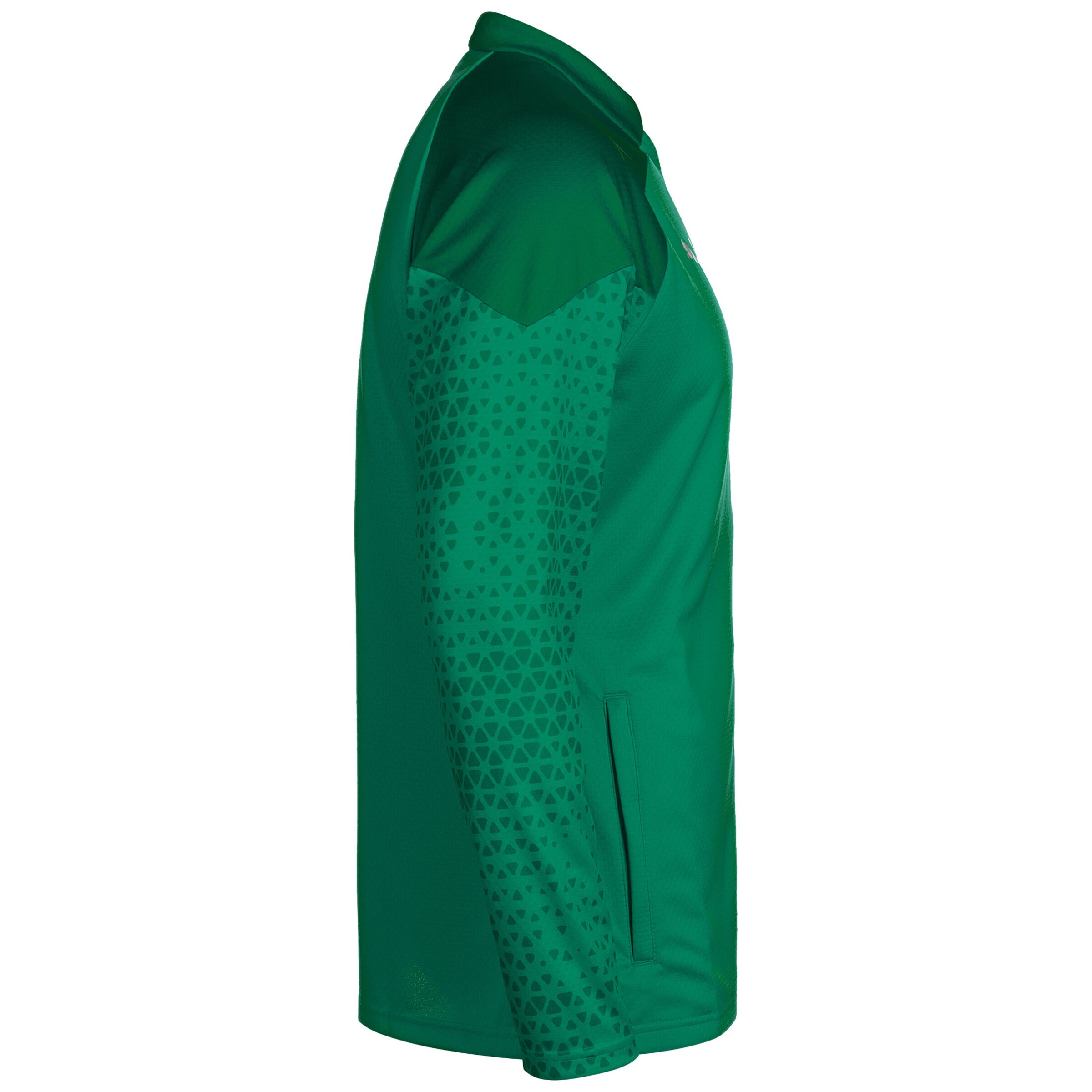 PUMA Training Jacket in Green