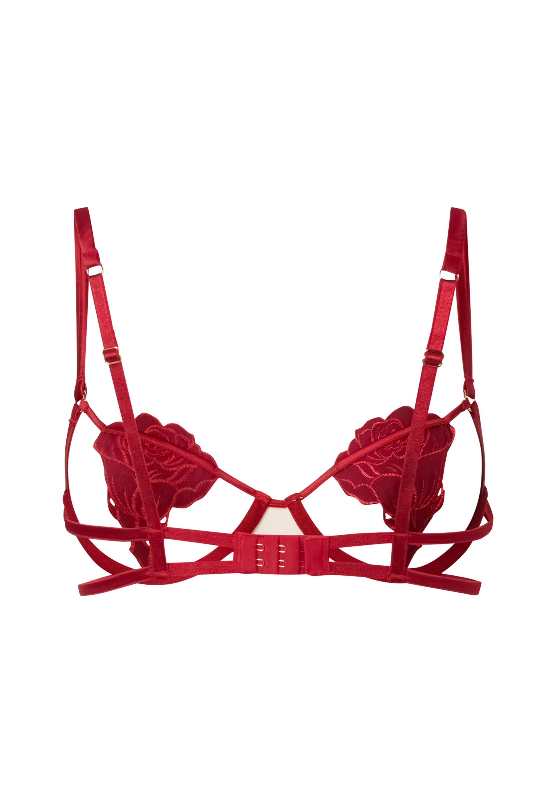 raudona Bluebella Klasikinis Liemenėlė 'Rose'
