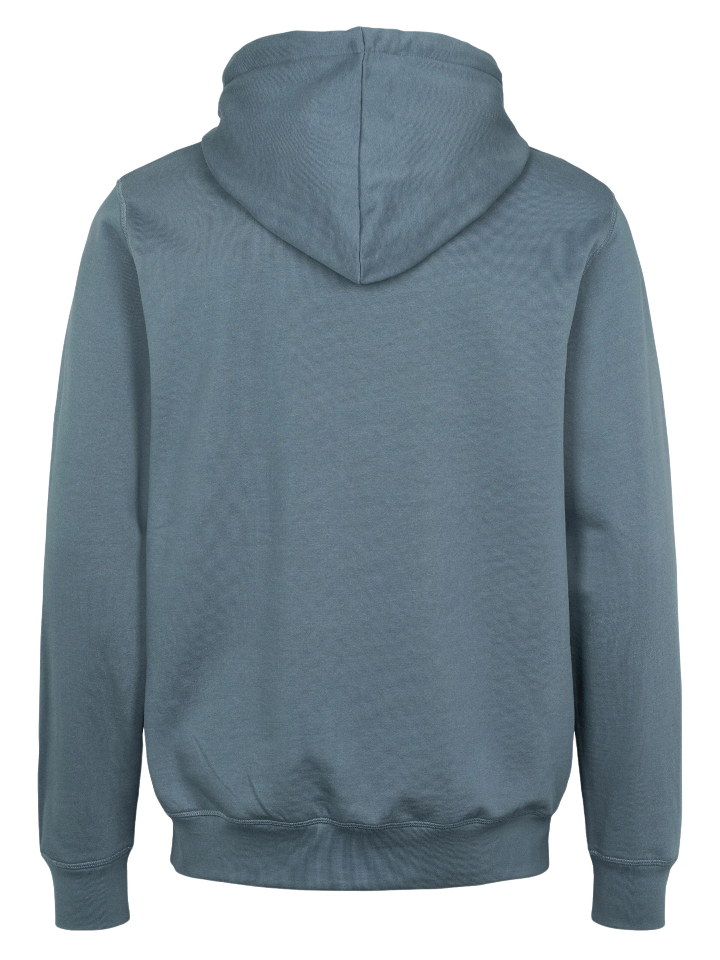 U.S. POLO ASSN. Sweatshirt 'Brayden' i blå