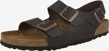 Sandales 'Milano' BIRKENSTOCK en marron : devant