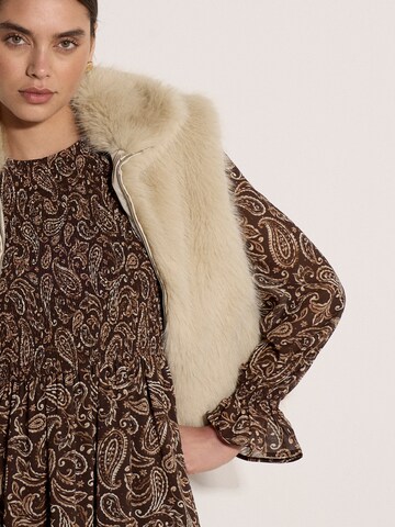 Apricot Dress ' ' in Brown