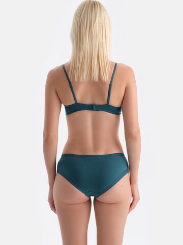 Triunghi Sutien de la Dagi pe verde