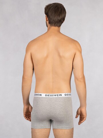 Boxers GIESSWEIN en gris