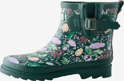 Cath Kidston Kumisaappaat värissä kuusi / vaaleanvihreä / laventeli / verenpunainen, Tuotenäkymä