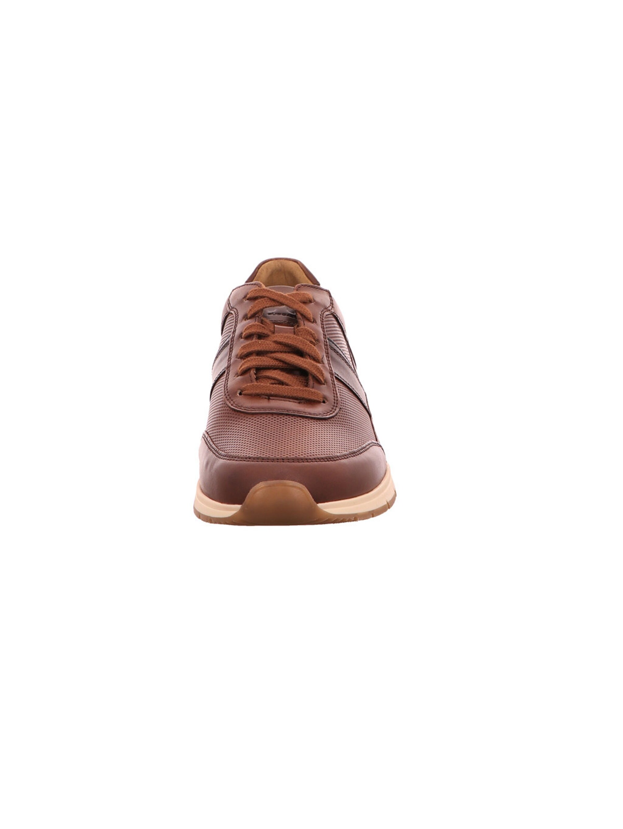 Pius Gabor Sneakers in Brown