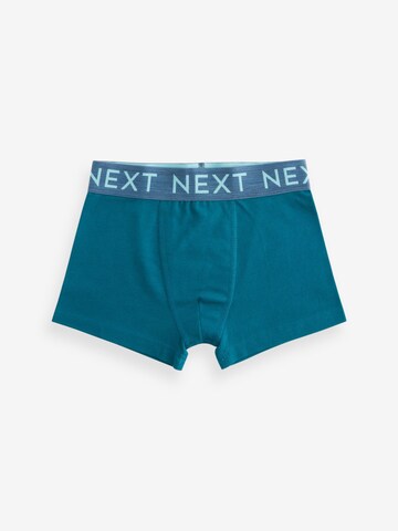 Next Onderbroek in Blauw