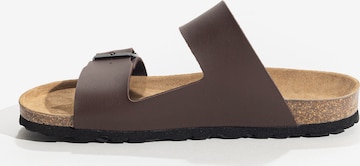 Bayton Mules 'LARDEN' in Brown