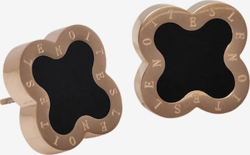 Lenoites Earrings in Gold: front