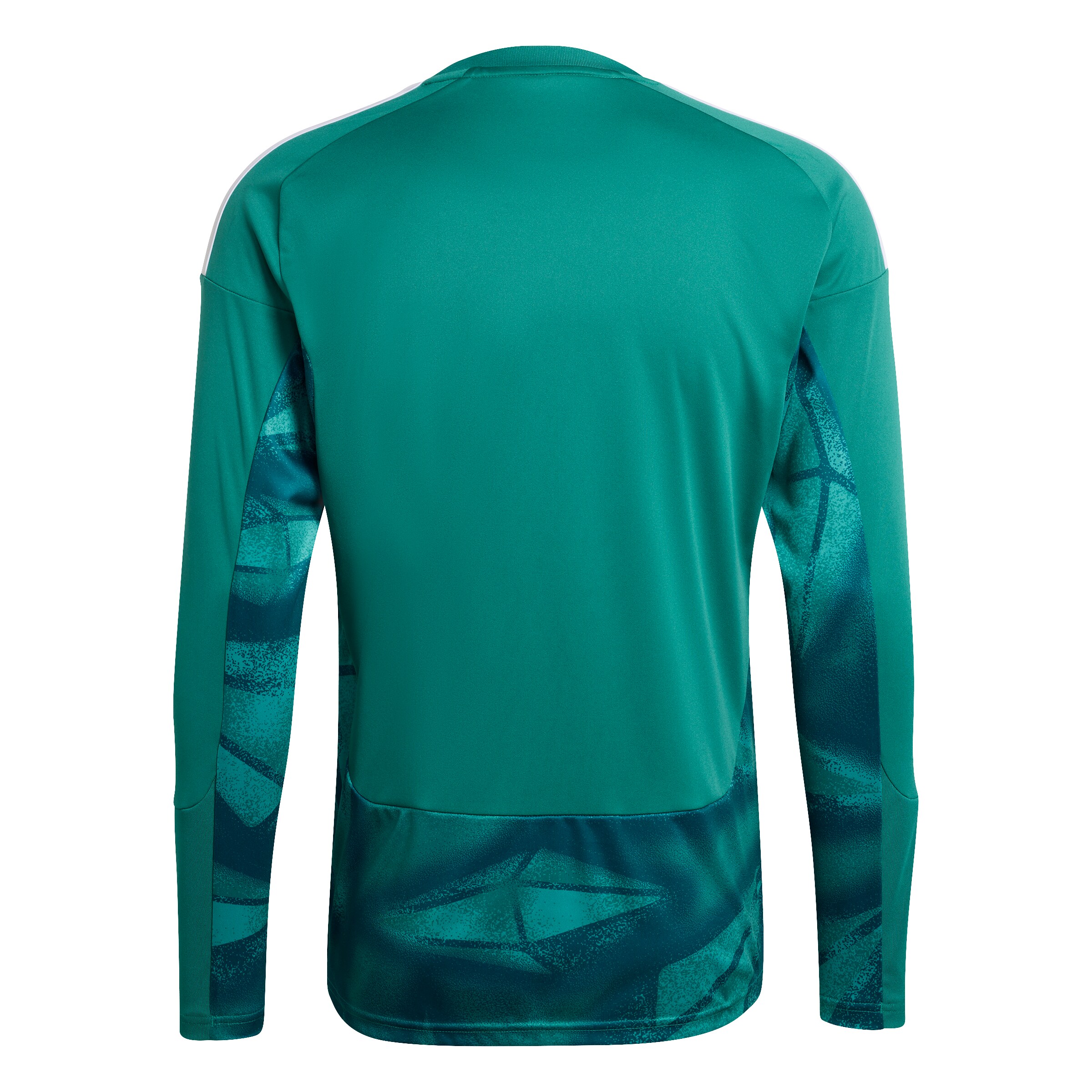 ADIDAS PERFORMANCE Jersey 'DFB H GK' in Green