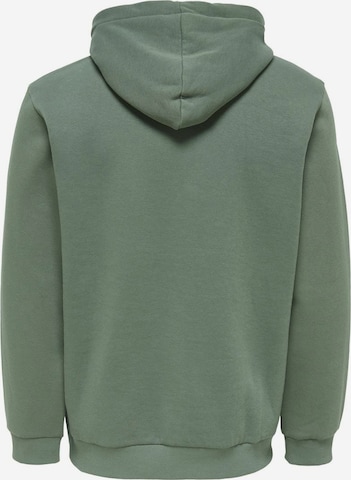 Only & Sons Regular Fit Sweatshirt 'Ceres' i grøn