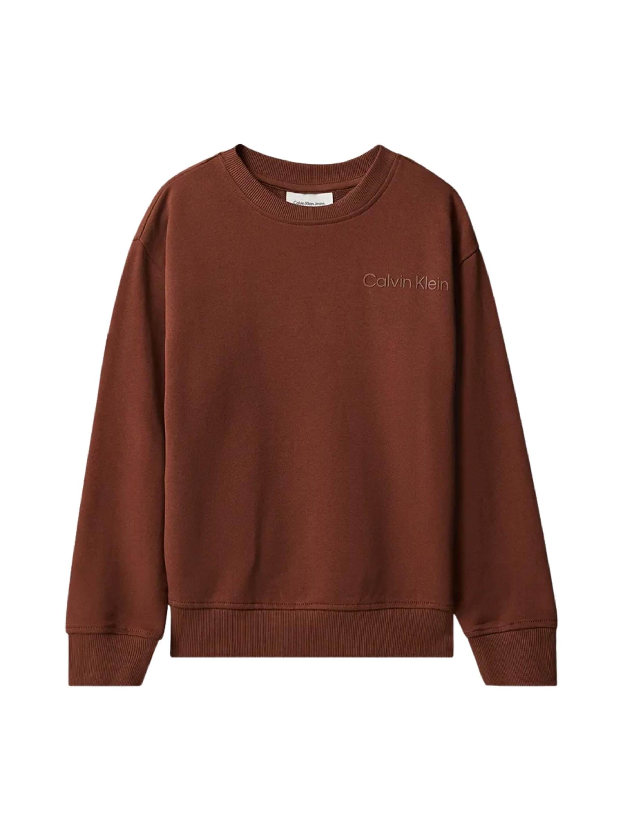 Calvin Klein Kids Sweatshirt 'CALVIN KLEIN  JEANS kids BACK PRINTCN SWEATSHIRT Maglieria' in Brown: front