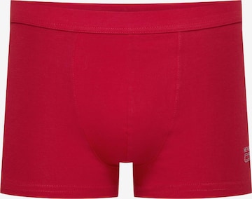 Henderson Boxershorts 'State' in Rood: voorkant