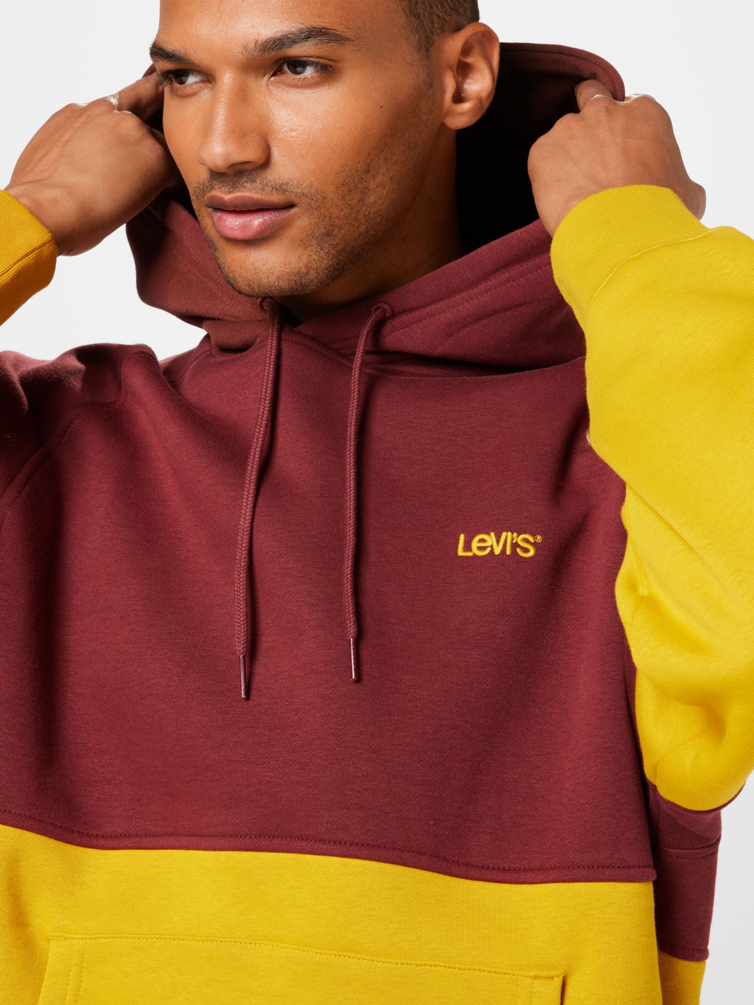 LEVI'S Sweatshirt in Bordeaux | ABOUT YOU