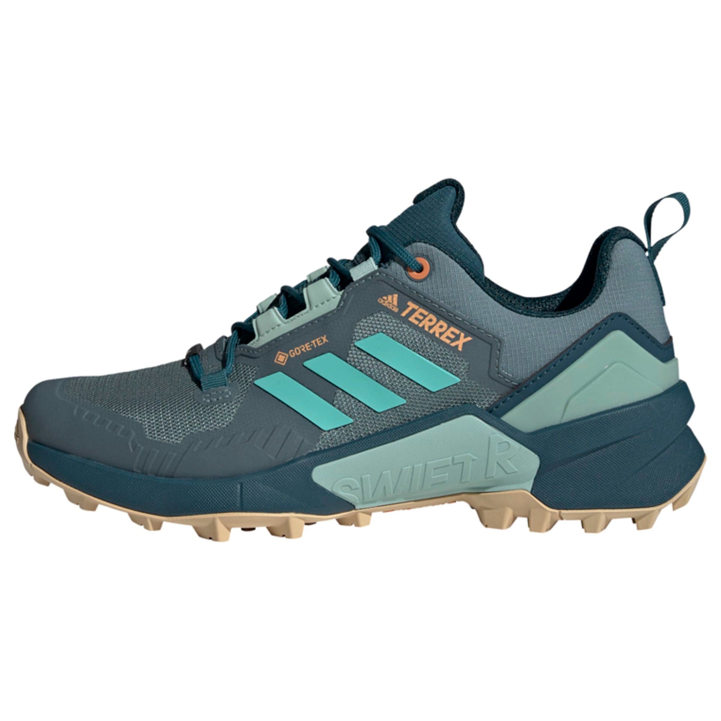 ADIDAS TERREX Flats 'Swift R3 Gore-Tex' in Blue: front