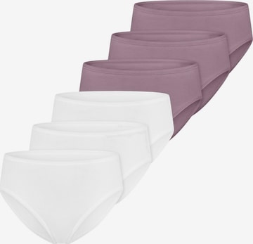 SCHIESSER Slip 'Essentials Cotton' in Lila: Vorderseite