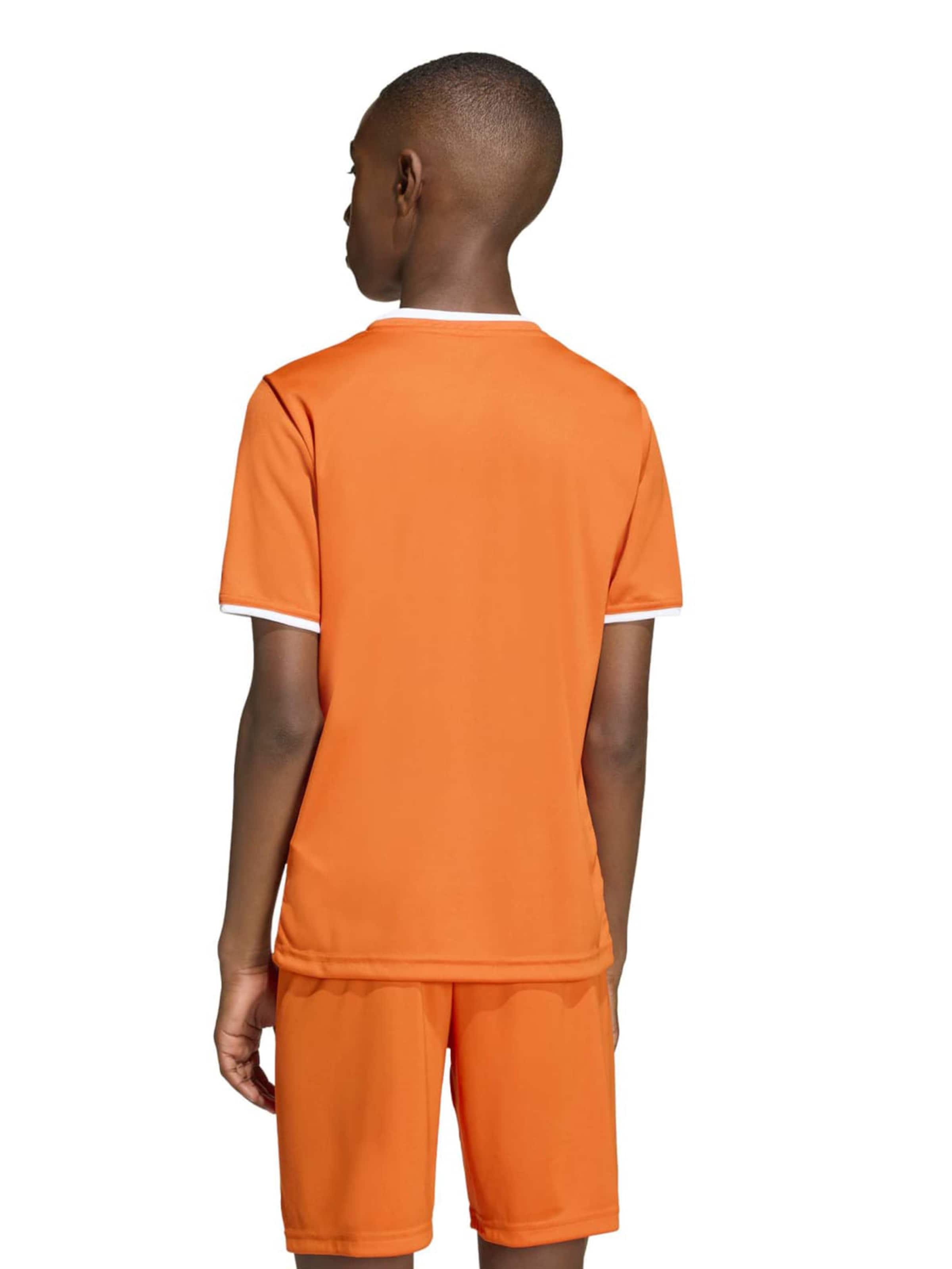 Tricou funcțional 'ENT26' de la ADIDAS PERFORMANCE pe portocaliu