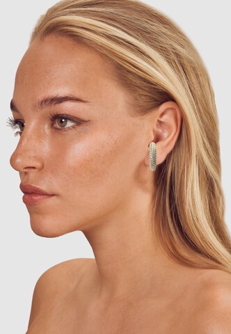 FILIPPA FIRENZE Ohrclips 'Fior Fiore' in Gold: Vorderseite