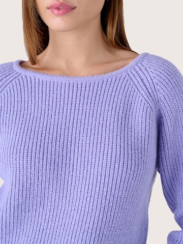Camomilla Trui 'COOKIE' in Lila