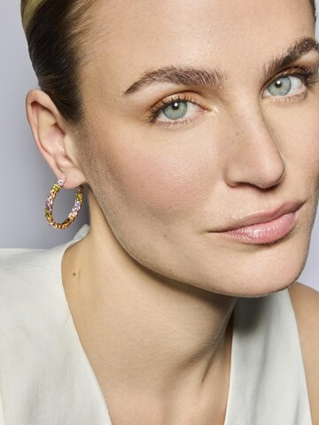 Boucles d'oreilles 'Anroth' Luxenter en mélange de couleurs