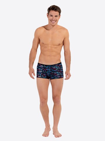 HOM Trunk ' Blackrock ' in Mischfarben
