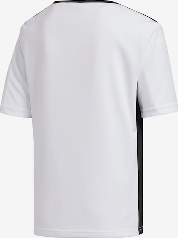 ADIDAS PERFORMANCE Performance Shirt 'Entrada 18' in White