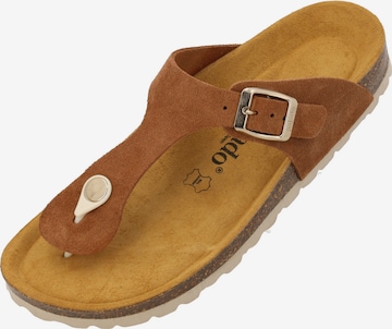 Palado Zehentrenner 'Palado Kos Suede Premium Leather' in Braun: Vorderseite