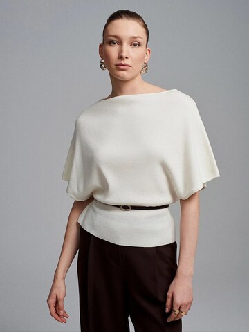 Pull-over 'Pullover' Dilvin en marron