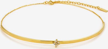 ANIA HAIE Necklace in Gold: front