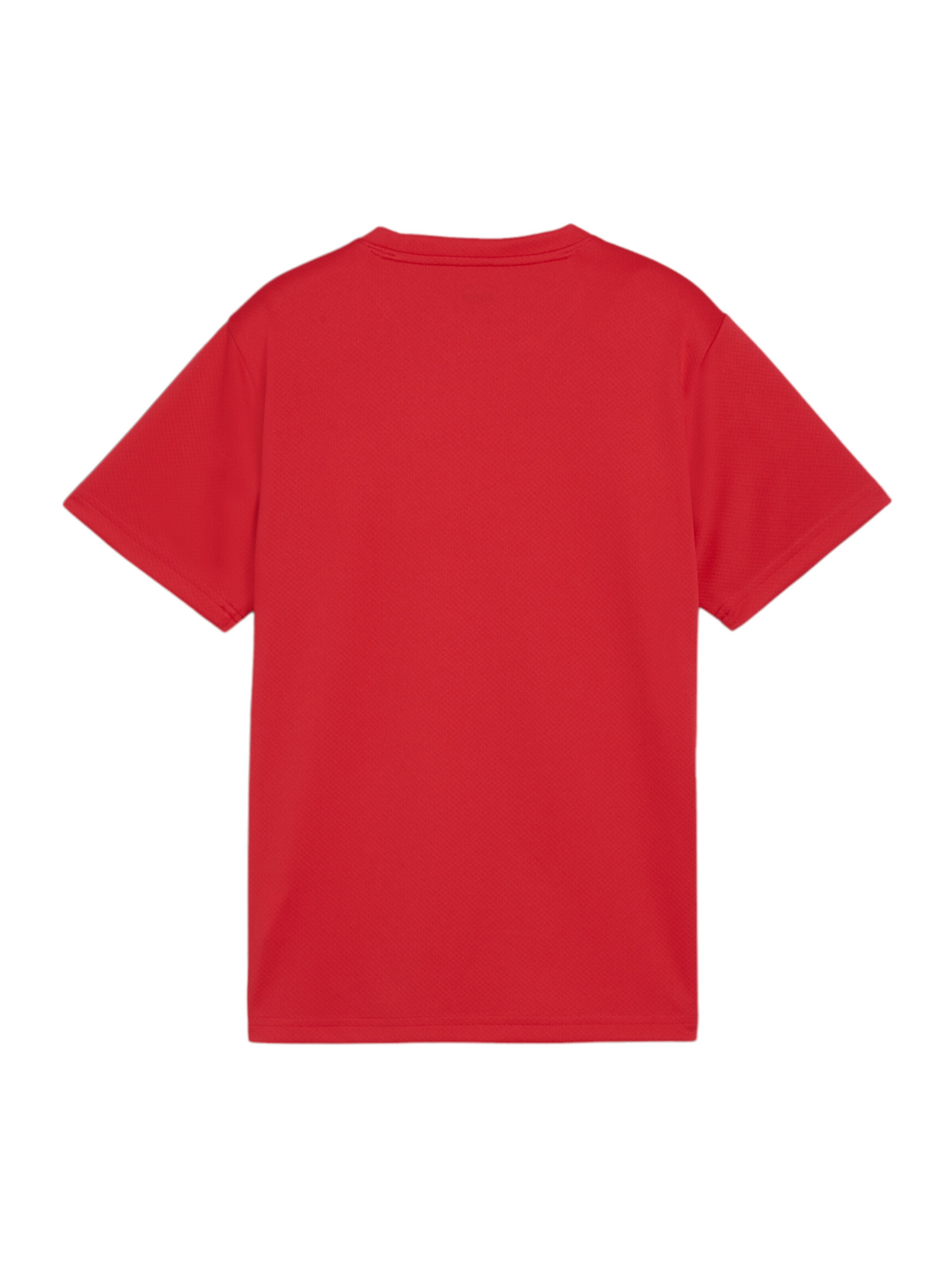 PUMA Funktionsshirt 'TeamGoal' in Rot