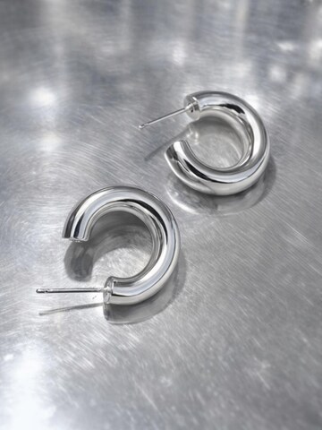 mùj jewelry Earrings in Silver